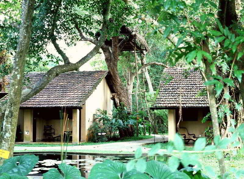 Village