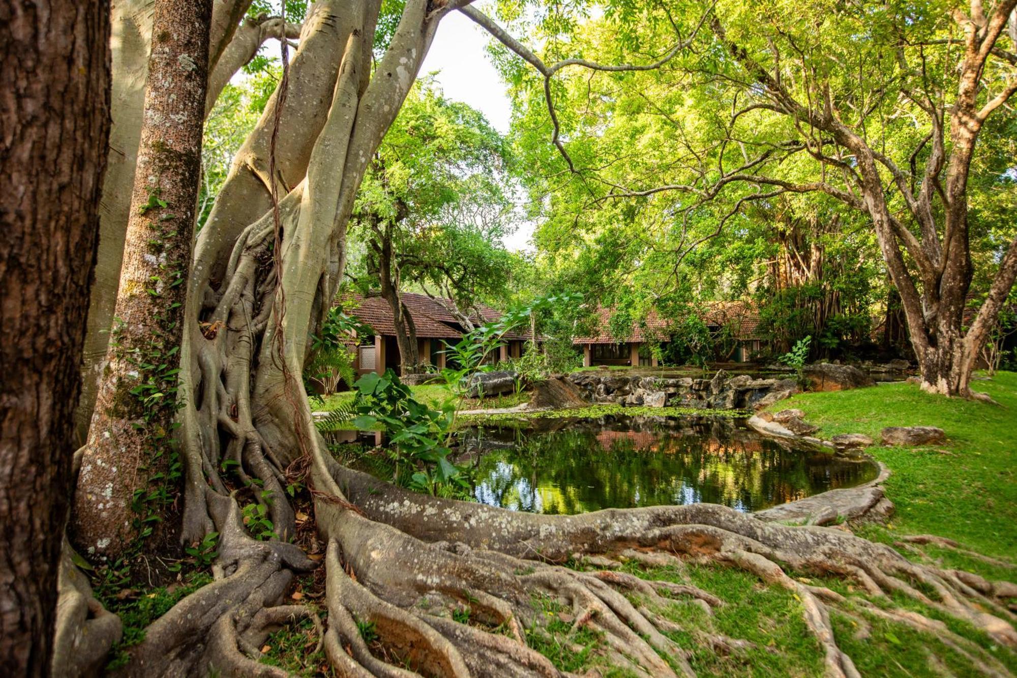 Village 5* Sigiriya