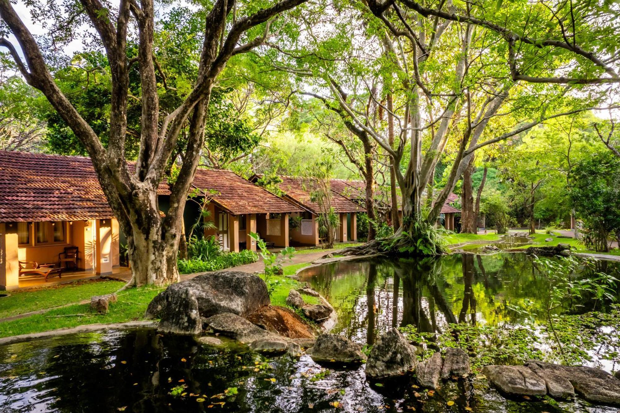 Resort Village 5*