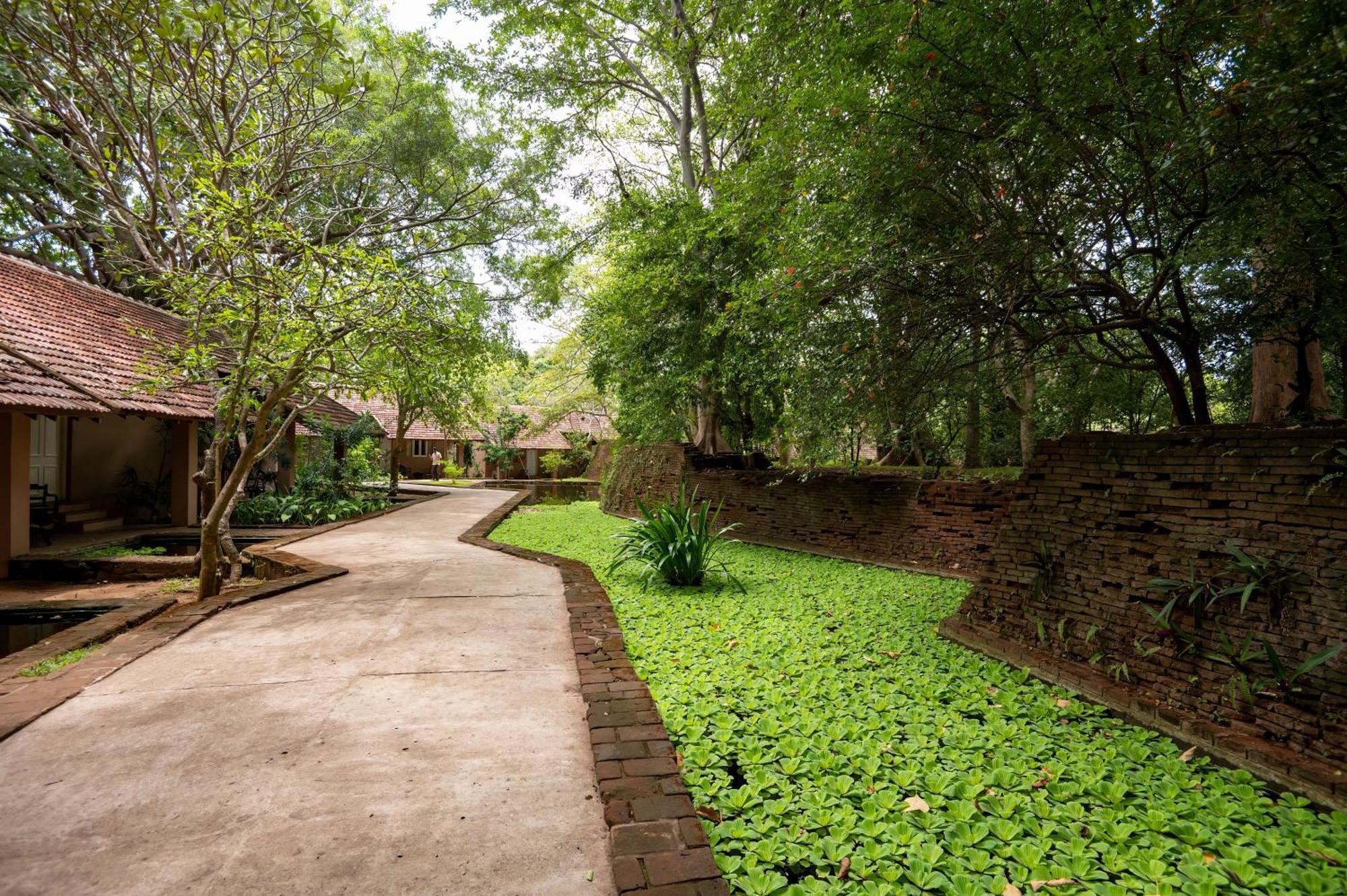 Village 5* Sigiriya