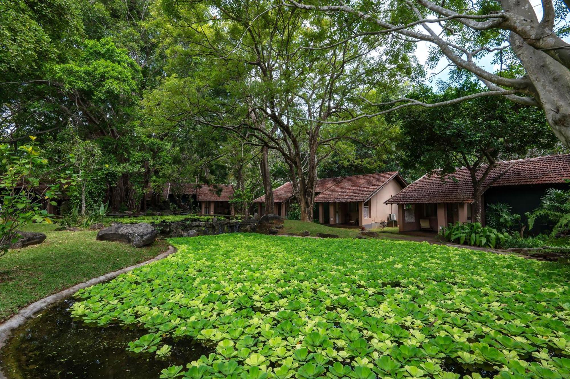 Resort Village Sigiriya