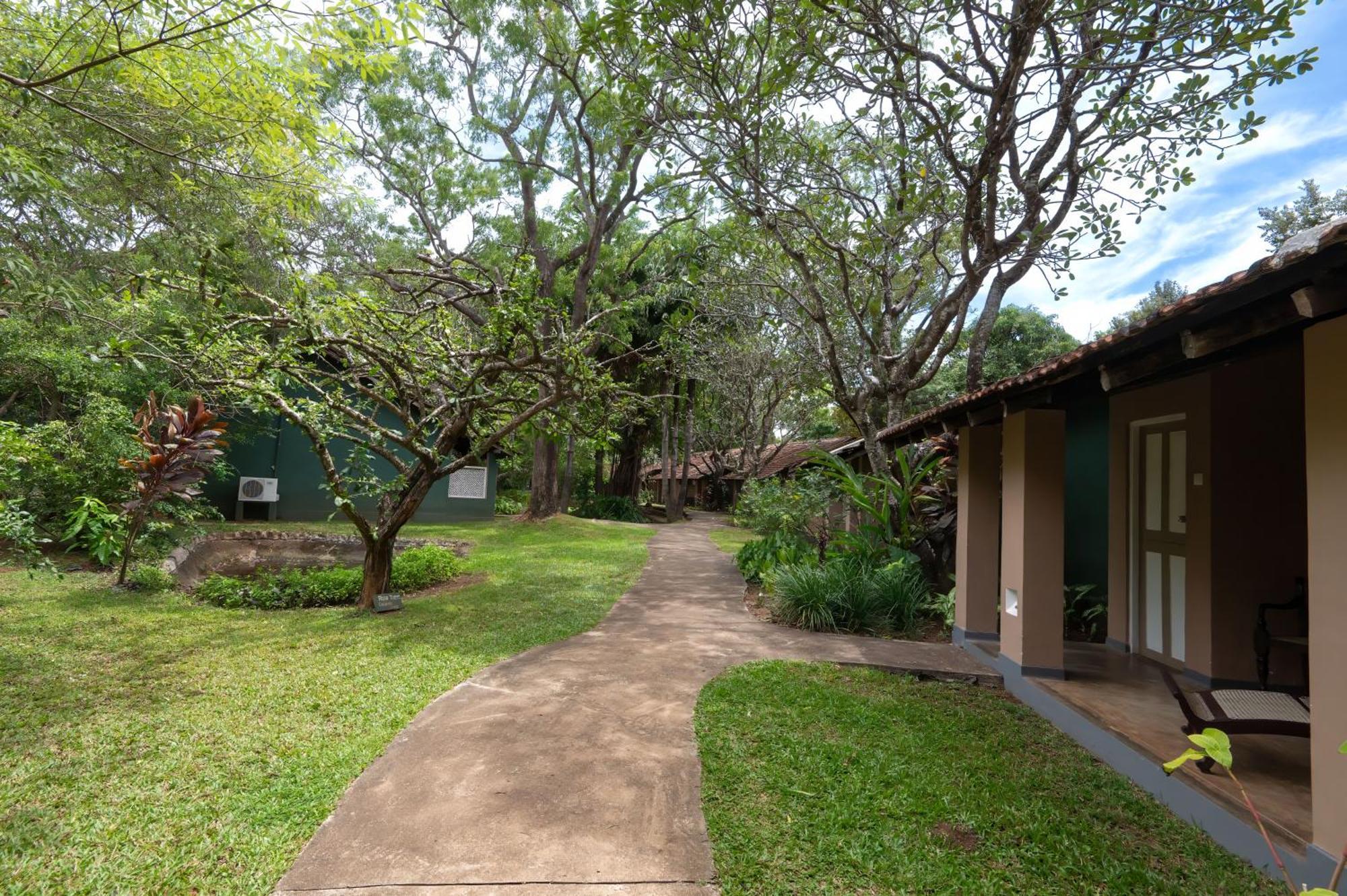 Village 5* Sigiriya