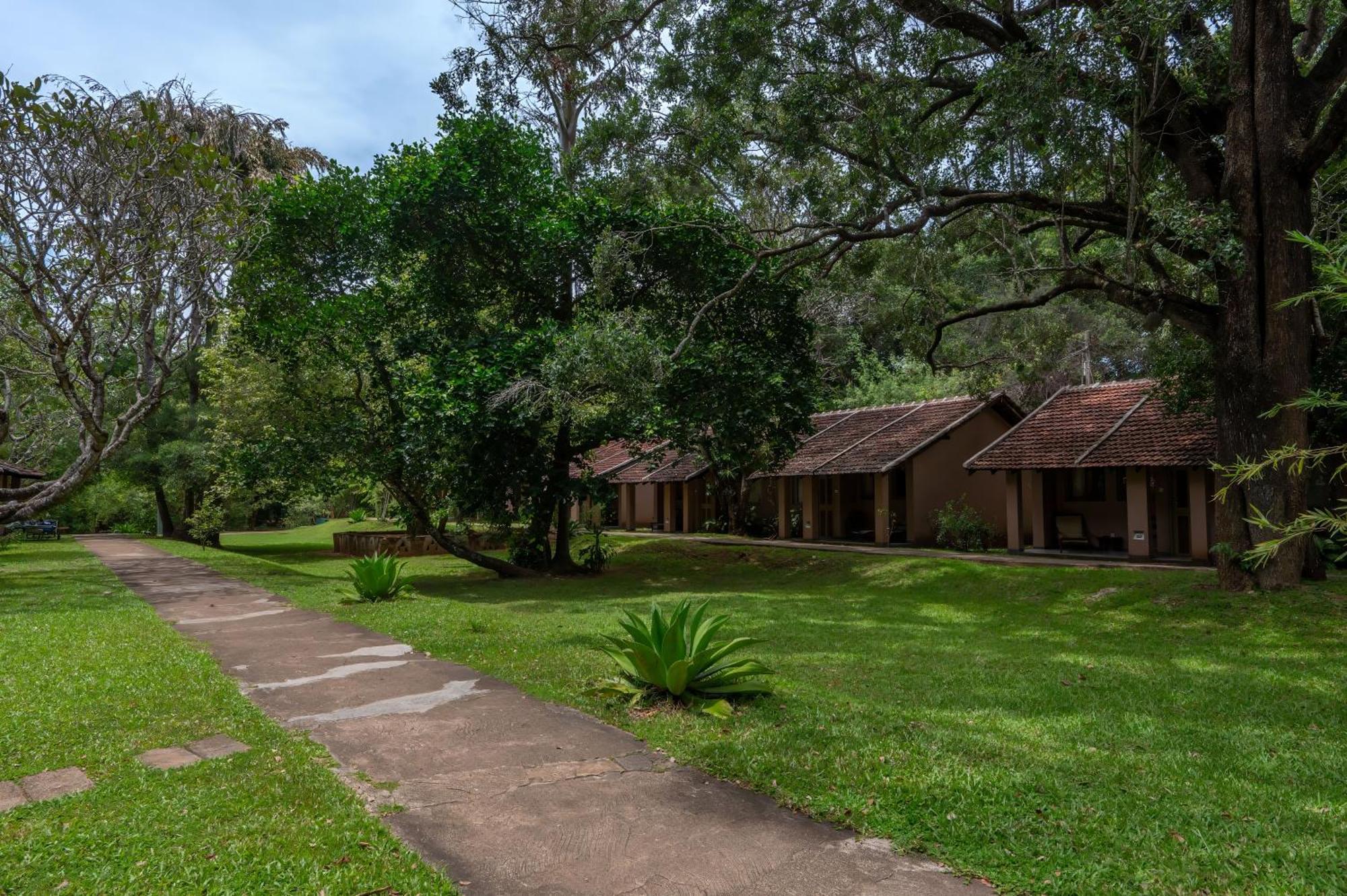 Village 5* Sigiriya