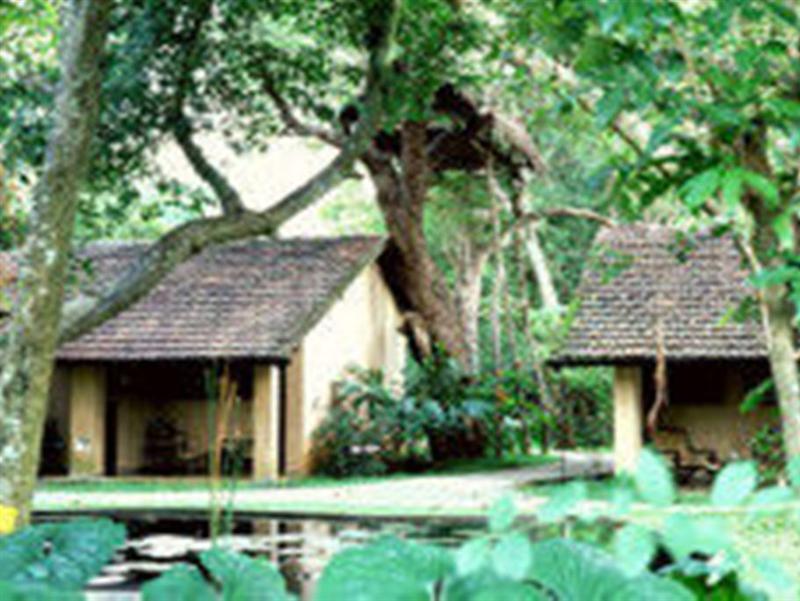 Village Sigiriya