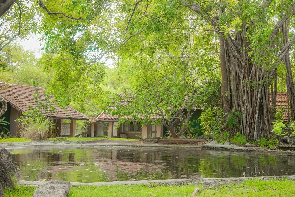 Village Resort 5*